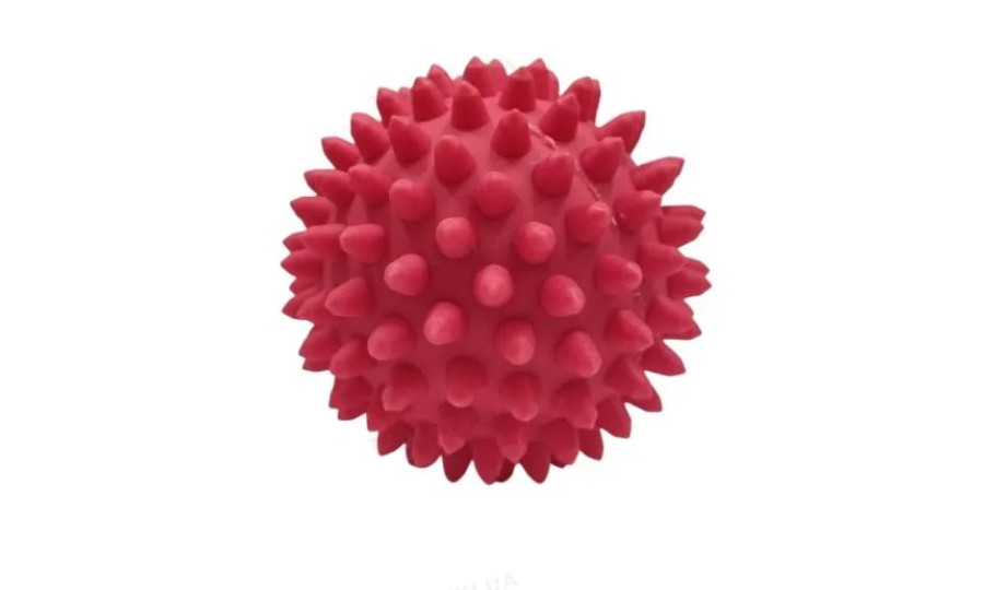 М'яч голчастий Health Ball Д73